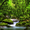 Peaceful Cascades in the Forest Photograph by Shelia Hunt Peaceful Cascades in the Forest Photograph by Shelia Hunt