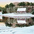 Peaceful Reflections by Michelle Constantine