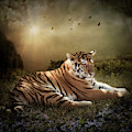 Peaceful Resolve Digital Art by Maggy Pease Peaceful Resolve Digital Art by Maggy Pease