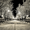 Peaceful Spring Photograph by Randall Allen Peaceful Spring Photograph by Randall Allen
