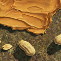 Peanut Butter and Peanuts Painting by James W Johnson Peanut Butter and Peanuts Painting by James W Johnson