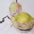 Pears Painting by Sheila Romard Pears Painting by Sheila Romard