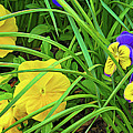 Peeking Out Flowers by Roberta Byram