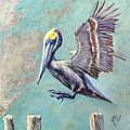 Pelican Landing by Claudia Fitzsimmons