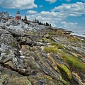 Pemaquid Point Light by Steve Brown