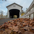 Pengra Covered Bridge by Ken Dietz