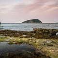 Penmon Point Lighthouse and Puffin Island by Spikey Mouse Photography