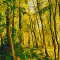 Pennsylvania Woods Mixed Media by Christopher Reed Pennsylvania Woods Mixed Media by Christopher Reed