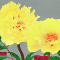Peony blossom, yellow flower, vintage print from The Picture Boo Painting by Tony Rubino Peony blossom, yellow flower, vintage print from The Picture Boo Painting by Tony Rubino