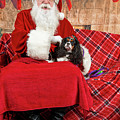 Peppermint with Santa 1 Photograph by Christopher Holmes Peppermint with Santa 1 Photograph by Christopher Holmes