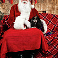 Peppermint with Santa 2 Photograph by Christopher Holmes Peppermint with Santa 2 Photograph by Christopher Holmes