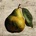 Pera Kaiser by Guido Borelli