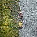 Perspectives by Pam Roth O'Mara Perspectives by Pam Roth O'Mara