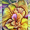 Petal Dance 3 Mixed Media by Lynda Lehmann Petal Dance 3 Mixed Media by Lynda Lehmann