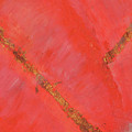 Petal Power Painting by Anita Hummel Petal Power Painting by Anita Hummel