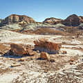 Petrified Wood and Blue Mesa Hills by Alexander Kunz