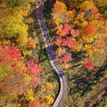 Petrifying Springs Park Trail by Adam Romanowicz
