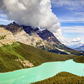Peyto Lake Photograph by Bradley Morris Peyto Lake Photograph by Bradley Morris
