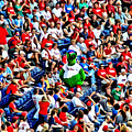 Phanatic In The Crowd Photograph by Alice Gipson Phanatic In The Crowd Photograph by Alice Gipson