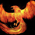 Phoenix Photograph by Stuart Manning Phoenix Photograph by Stuart Manning