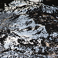 Photo Foil Photograph by Linda Bonaccorsi Photo Foil Photograph by Linda Bonaccorsi