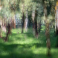 Photo impression of Megiddo by Dubi Roman