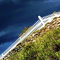Picket fence, Cezanne style by Sheila Smart Fine Art Photography Picket fence, Cezanne style by Sheila Smart Fine Art Photography