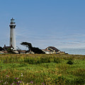 Pigeon Point Lighthouse Photograph by David Levin Pigeon Point Lighthouse Photograph by David Levin