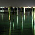 Pilings in Jamestown Harbor Photograph by Jim Feldman Pilings in Jamestown Harbor Photograph by Jim Feldman