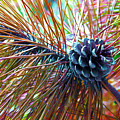 Pine Bloom Photograph by Gigi Dequanne Pine Bloom Photograph by Gigi Dequanne