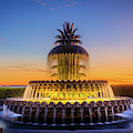 Pineapple Fountain Glow by Inge Johnsson Pineapple Fountain Glow by Inge Johnsson