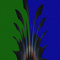 Pineapple Top No.1 Digital Art by Ronald Mills Pineapple Top No.1 Digital Art by Ronald Mills
