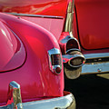 Pink and Red Photograph by M Kathleen Warren Pink and Red Photograph by M Kathleen Warren