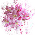 Pink Blossoms Mixed Media by Moira Law Pink Blossoms Mixed Media by Moira Law