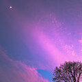 Pink Clouds at Sunset by John Morzen