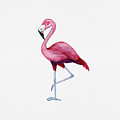 Pink Flamingo Painting by Michele Fritz Pink Flamingo Painting by Michele Fritz