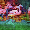 Pink Flamingos Digital Art by Kirt Tisdale Pink Flamingos Digital Art by Kirt Tisdale