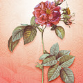 Pink Francfort Rose Vintage Botanical in Peach Fuzz Seigaiha Wave Pattern n.1849 by Holy Rock Design