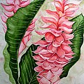 Pink Ginger Lilies Painting by Karin Dawn Kelshall- Best Pink Ginger Lilies Painting by Karin Dawn Kelshall- Best