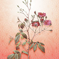 Pink Noisette Roses Vintage Botanical in Peach Fuzz Asanoha Star Pattern n.1844 by Holy Rock Design