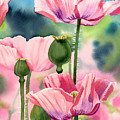 Pink Poppies Painting by Espero Art Pink Poppies Painting by Espero Art