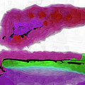 Pink Sherbert Painting by Kirt Tisdale Pink Sherbert Painting by Kirt Tisdale