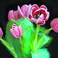 Pink Tulips Pink Impression X1043 Photograph by Rich Franco Pink Tulips Pink Impression X1043 Photograph by Rich Franco