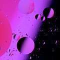 Pink Universe Photograph by Cathy Kovarik Pink Universe Photograph by Cathy Kovarik