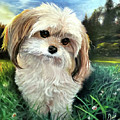 Pip by David Vincenzi