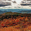 Pisgah Forest Autumn Panorama Photograph by Dan Carmichael