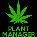 Plant Manager Weed Pot Cannabis Digital Art by Flippin Sweet Gear Plant Manager Weed Pot Cannabis Digital Art by Flippin Sweet Gear