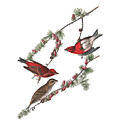 Plate 4 Purple Finch by John James Audubon