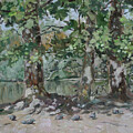 Plein air painting 163 duck pond southampton common by Martin Davey