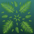 Plethora of Palm Leaves 20 on a Teal Gradient Background Digital Art by Ali Baucom Plethora of Palm Leaves 20 on a Teal Gradient Background Digital Art by Ali Baucom